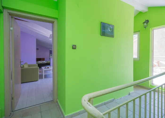 Peter Pan House 索菲亞