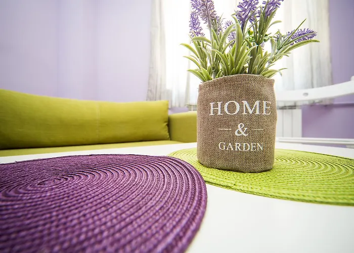 Peter Pan House 索菲亞